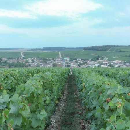 Une Parenthese En Champagne Jaucourt Экстерьер фото