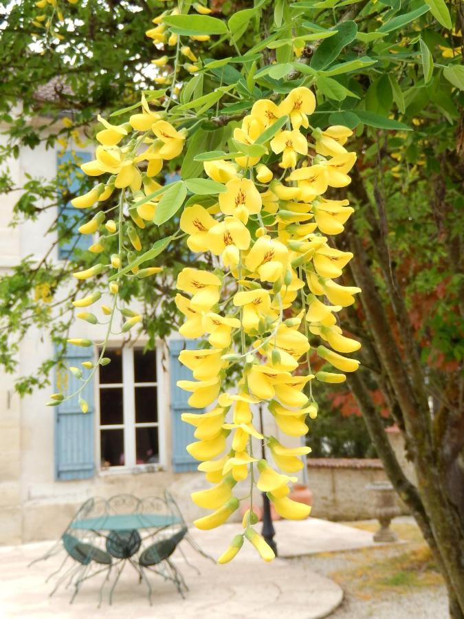 Une Parenthese En Champagne Jaucourt Экстерьер фото