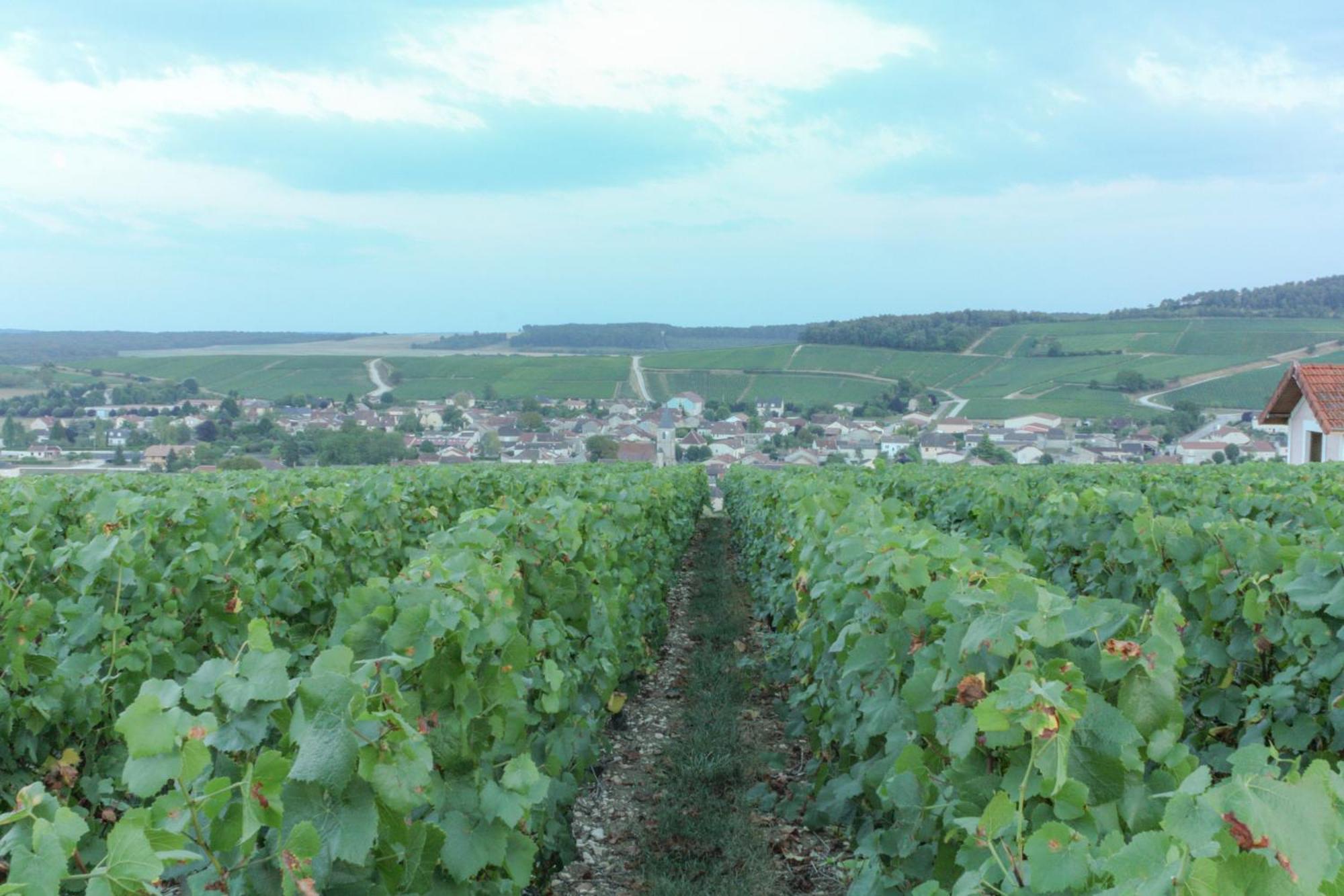 Une Parenthese En Champagne Jaucourt Экстерьер фото